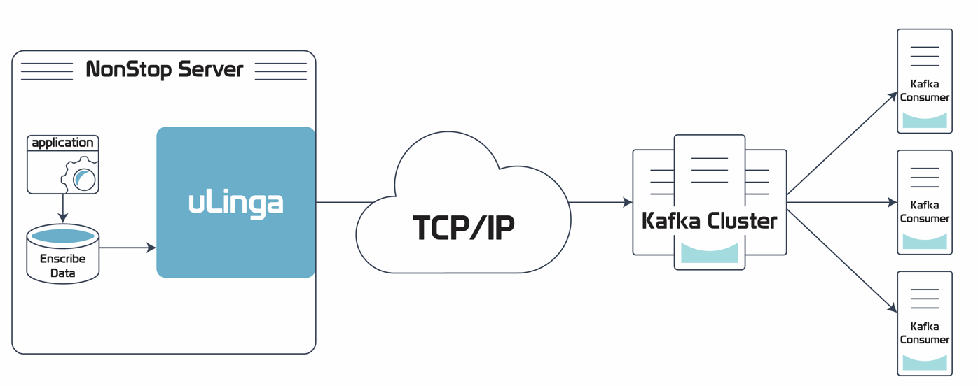 uLinga File Reader Support